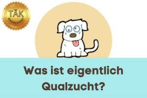 Was ist eigentlich Qualzucht? - Laufzeit (min.): 50:07 [Digital]