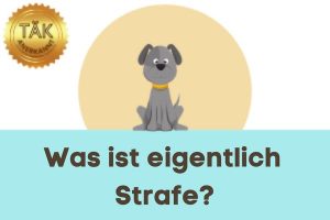 Was ist eigentlich Strafe? - Laufzeit (min.): 32:37