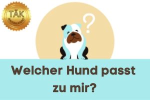 Welcher Hund passt zu mir? - Laufzeit (min.): 34:43