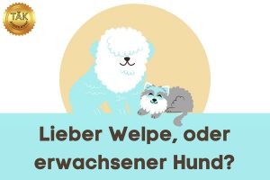 Welpe oder erwachsener Hund? – Laufzeit (min): 15:22