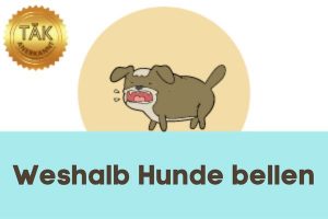 Weshalb Hunde bellen - Laufzeit (min.): 24:01