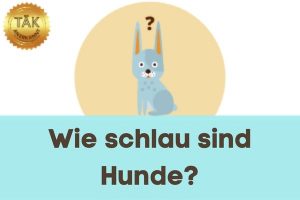 Wie schlau sind Hunde? - Laufzeit (min): 45:45