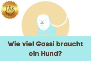 Wie viel Gassi braucht ein Hund? - Laufzeit (min.): 31:50