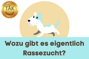 Wozu ein Rassehund? - Laufzeit (min.): 26:29