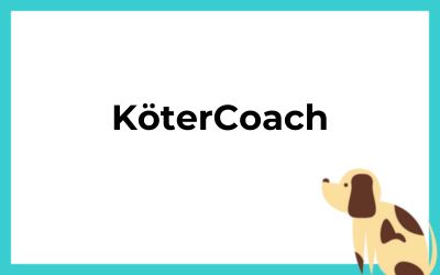 Verlinktes Bild zum Onlinekurs "KöterCoach"