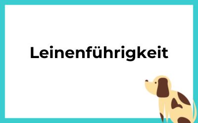 Verlinktes Bild zum Onlinekurs Leinenführigkeit
