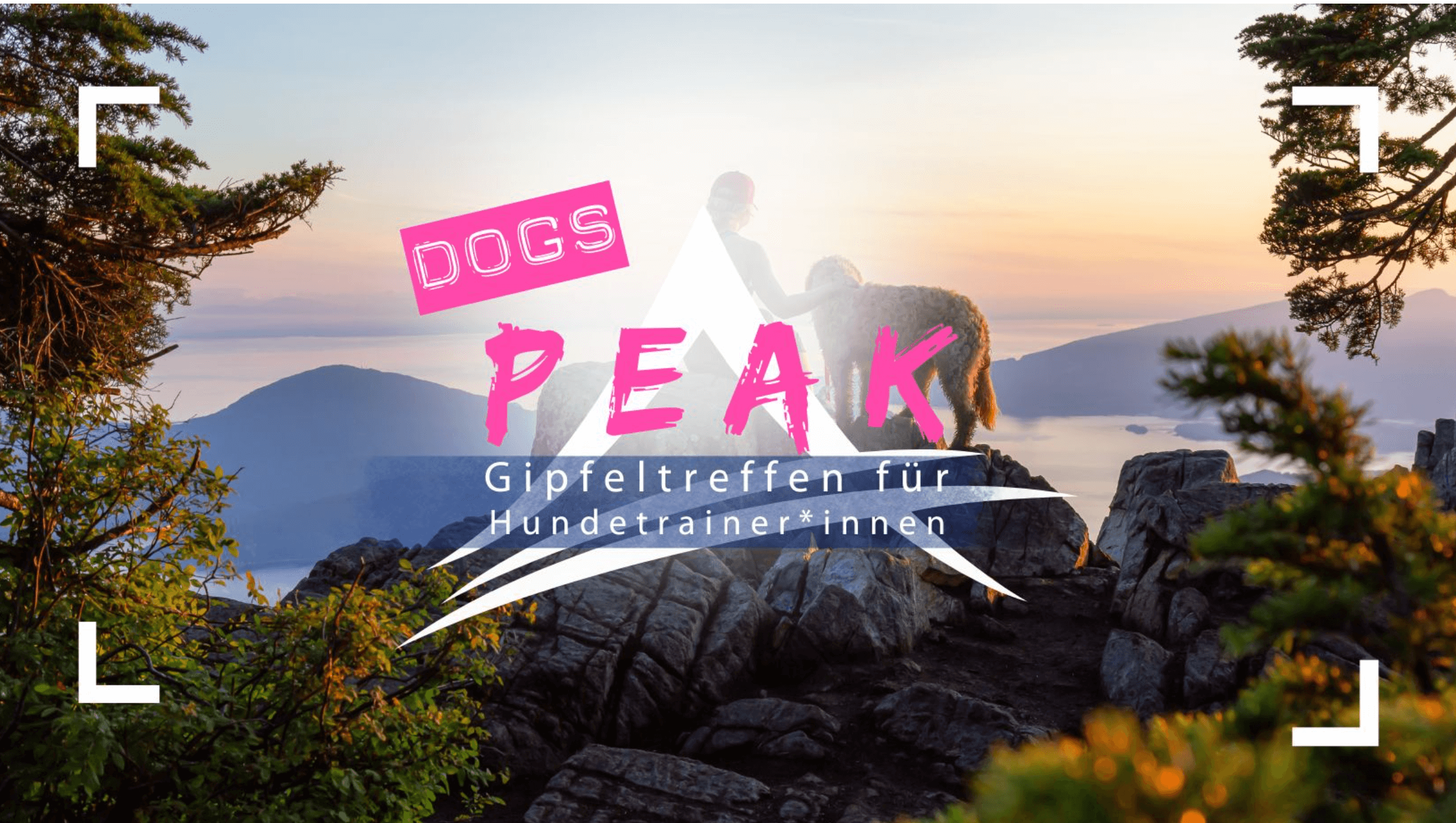 Vorschau Veranstaltung Dogs Peak