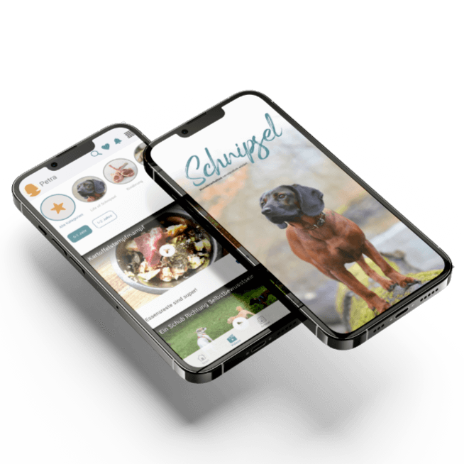 Schnipsel-App Beispiel