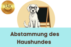 Abstammung des Haushundes - Laufzeit (min) 8:54
