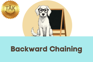 Backward-Chaining - Laufzeit (min) 3:50 [Digital]