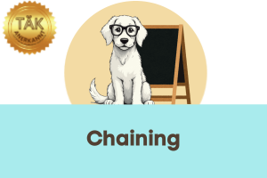 Chaining - Laufzeit (min) 3:50
