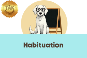 Habituation - Laufzeit (min) 5:08