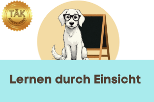 Lernen durch Einsicht - Laufzeit (min) 7:47
