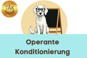 Operante Konditionierung - Laufzeit (min) 9:07