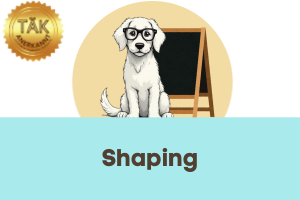 Shaping - Laufzeit (min) 3:09