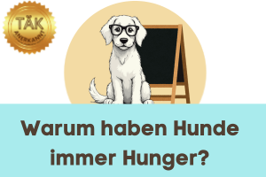Warum haben Hunde immer Hunger? - Laufzeit (min) 9:08