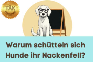 Warum schütteln sich Hunde ihr Nackenfell? - Laufzeit (min) 7:47