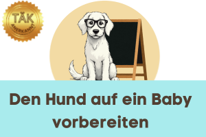 Den Hund auf ein Baby vorbereiten - Laufzeit (min): 20:09 [Digital]