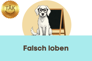 Falsch loben - Laufzeit (min): 40:33 [Digital]