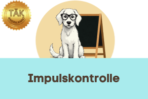 Impulskontrolle - Laufzeit (min.): 35:34 [Digital]