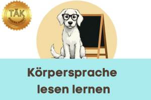 Körpersprache lesen lernen - Laufzeit (Std.): 01:40 [Digital]