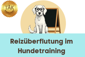 Reizüberflutung im Hundetraining - Laufzeit (min.): 24:19 [Digital]