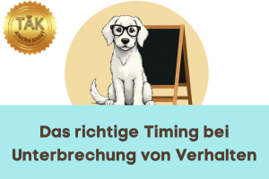 Das richtige Timing bei Unterbrechungen von Verhalten - Laufzeit (min): 46:57 [Digital]