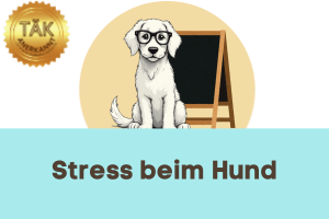 Stress beim Hund – Laufzeit (min.): 39:35 [Digital]