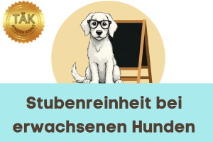 Stubenreinheit bei erwachsenen Hunden - Laufzeit (min.): 30:58