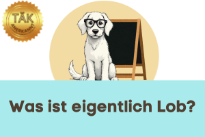 Was ist eigentlich Lob? - Laufzeit (min.): 34:34 [Digital]