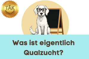 Was ist eigentlich Qualzucht? - Laufzeit (min.): 50:07 [Digital]