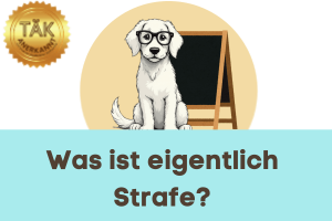 Was ist eigentlich Strafe? - Laufzeit (min.): 32:37 [Digital]