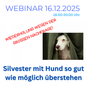 Titelbild für Webinar "Silvester mit Hund so gut wie möglich überstehen"