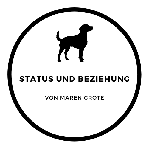 Beitragsbild zum Blogpost Status und Beziehung