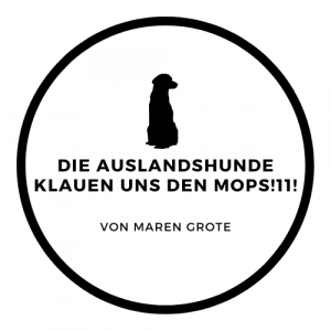 Sitzender Hund schaut sich um