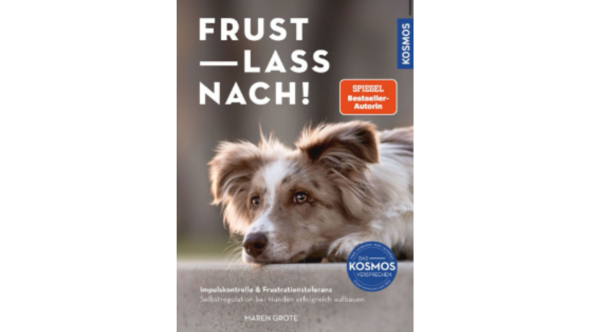 Buchcover zeigt liegenden Hund