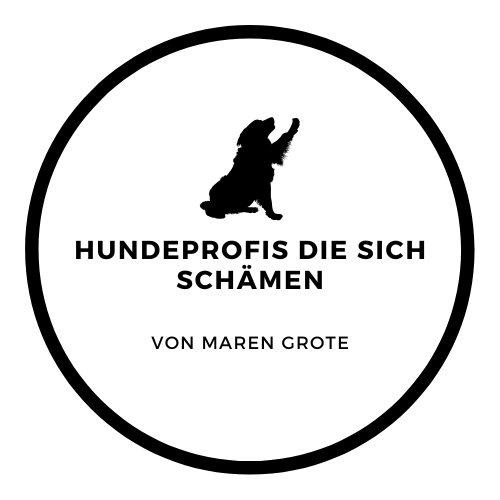 Hund sitzt und hebt Pfote