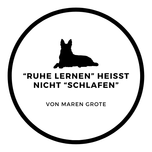 Zeichnung entspannt liegender Hund