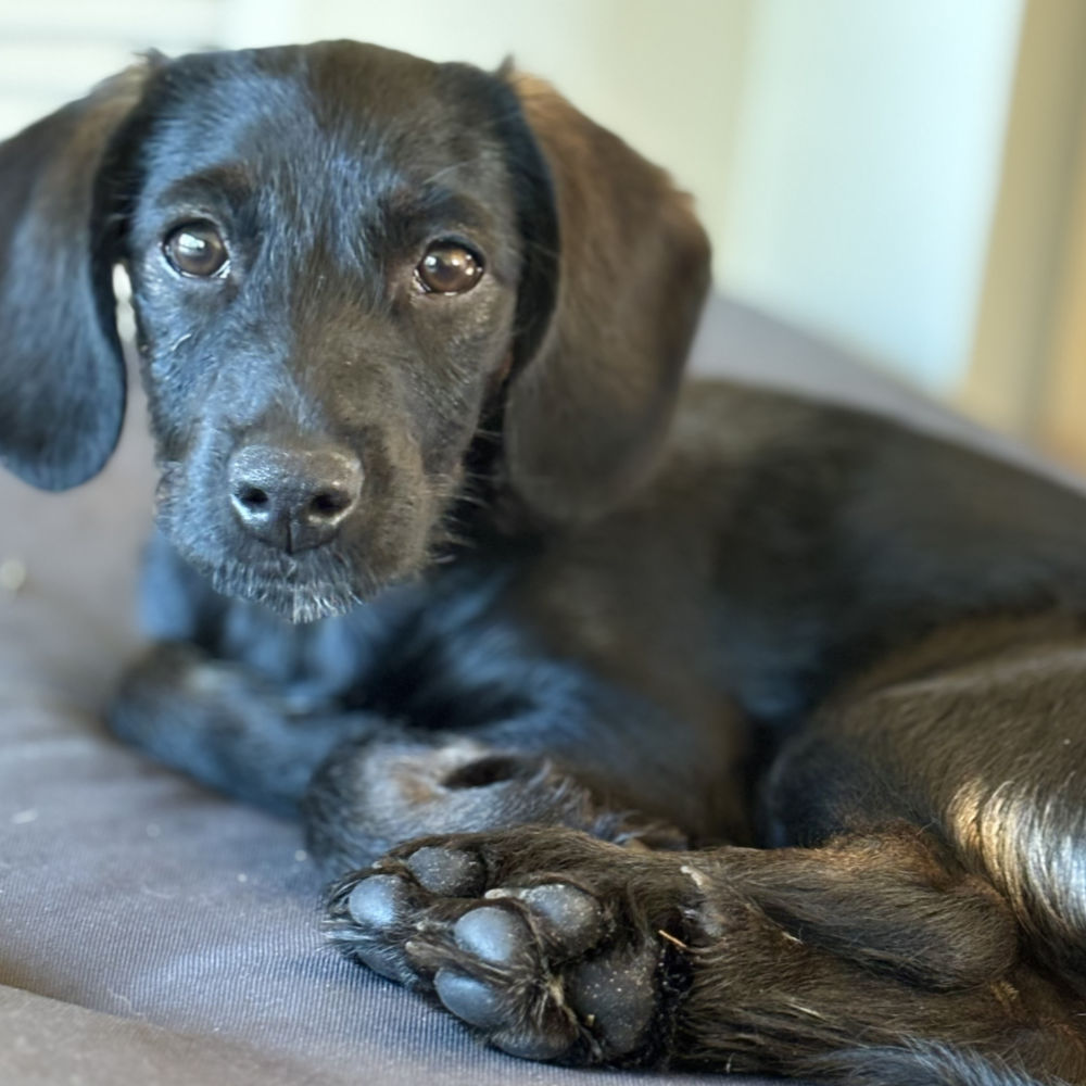 Vanda schaut erwartungsvoll