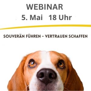 Souverän führen – Vertrauen schaffen [Digital]