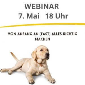 Von Anfang an (fast) alles richtig machen [Digital]