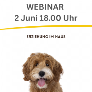 Erziehung im Haus [Digital]