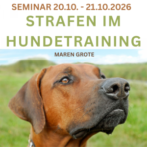 Faire Grenzen setzen