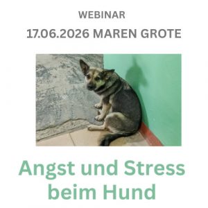Webinarbegleitbild Angst und Stress beim Hund