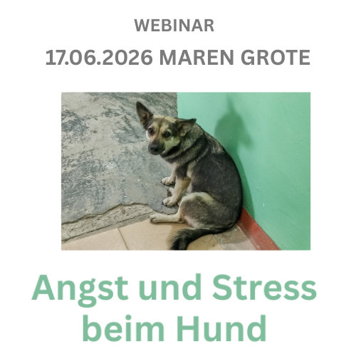 Webinarbegleitbild Angst und Stress beim Hund