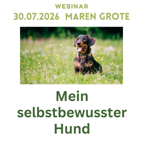 Mein selbstbewusster Hund [Digital]