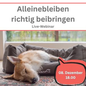 Ankündigung Webinar Alleinebleiben richtig beibringen