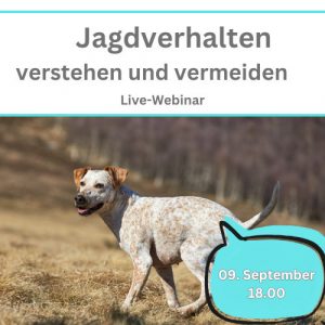 Ankündigung zum Webinar "Jagdverhalten kontrollieren"