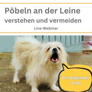 Webinarankündigungfür Webinar Pöbeln an der Leine verstehen und verhindern