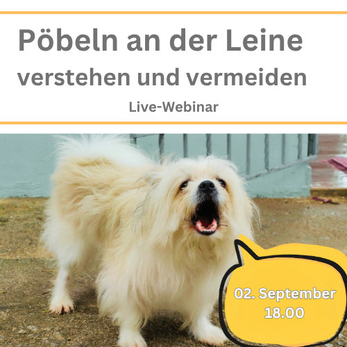 Webinarankündigungfür Webinar Pöbeln an der Leine verstehen und verhindern